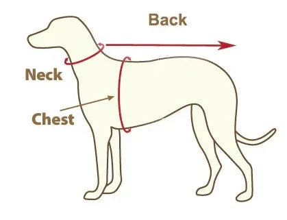 Dog winter checked gilet
