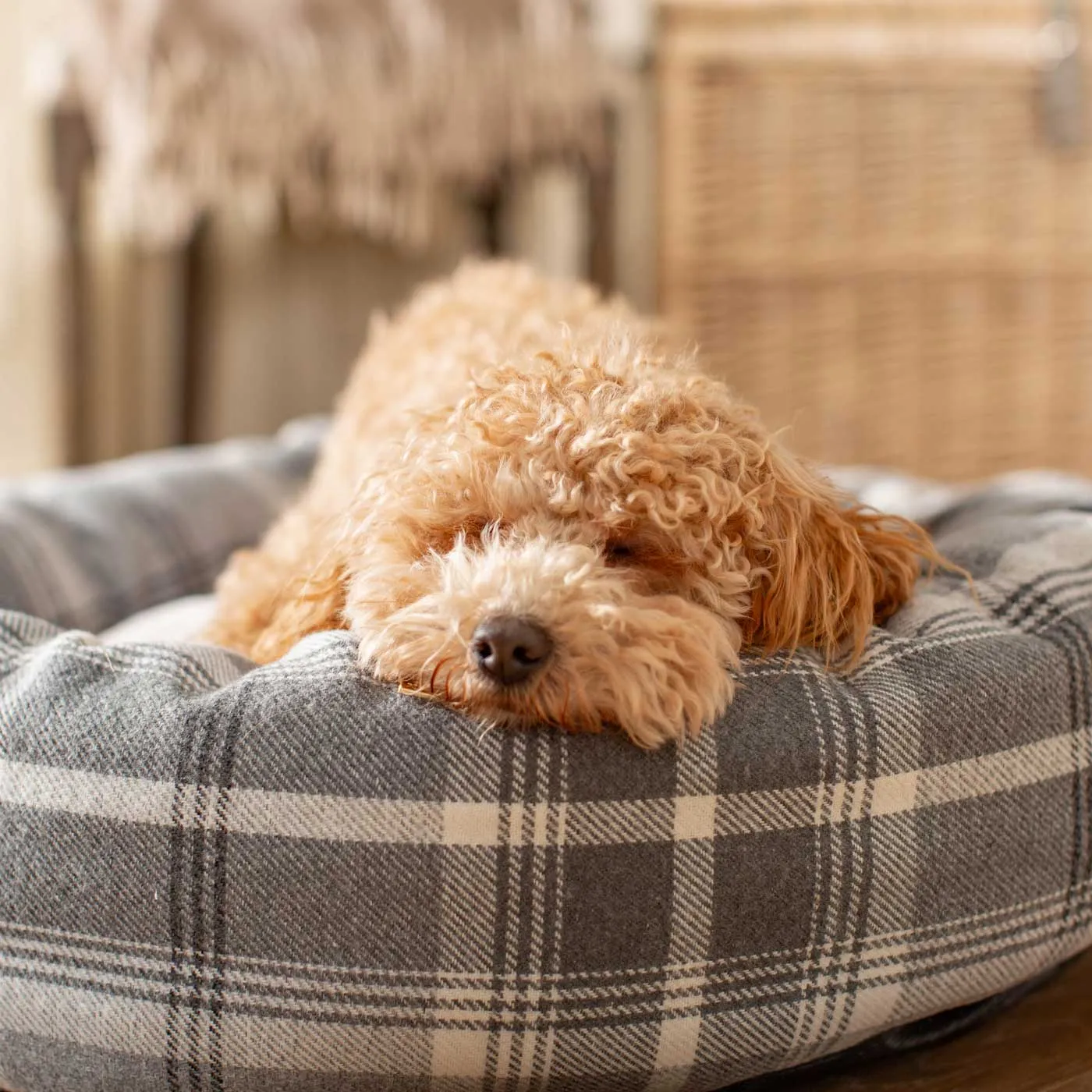 Donut Bed in Balmoral Dove Grey Tweed by Lords & Labradors