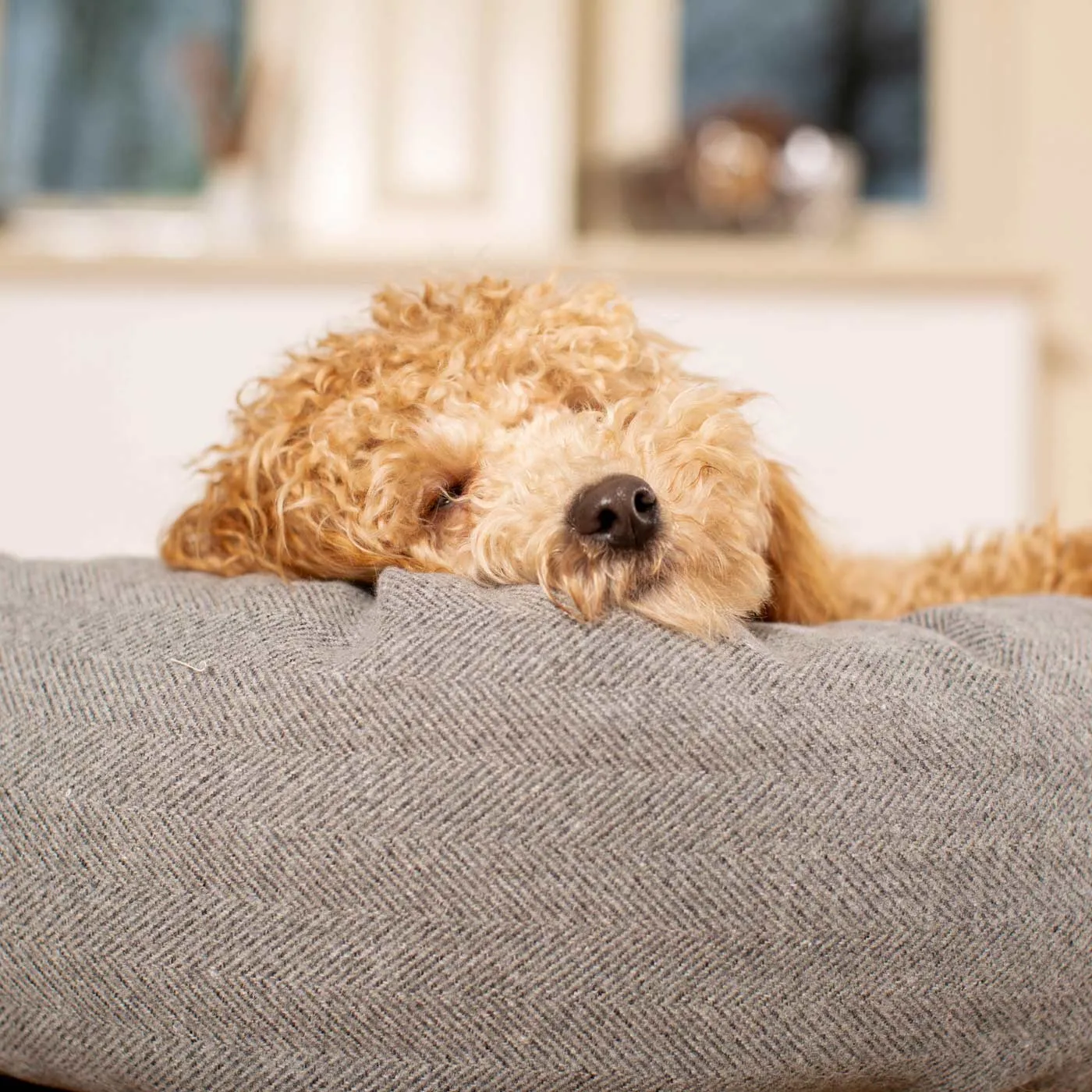 Donut Bed With Removable Covers in Pewter Herringbone Tweed by Lords & Labradors