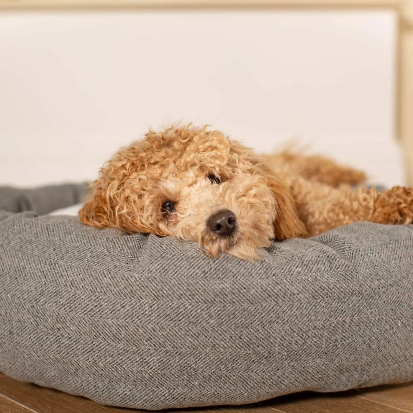 Donut Bed With Removable Covers in Pewter Herringbone Tweed by Lords & Labradors